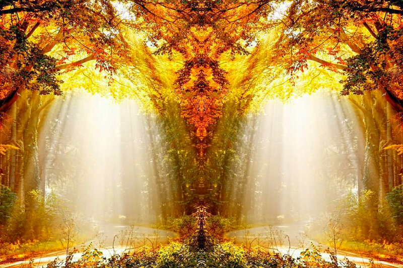 Autumn Forest Path — Yellow, Serene, Digital Art, Trees