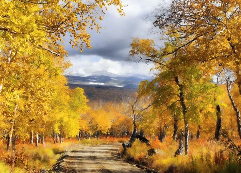 Autumn Forest Path — Yellow, Serene, Painting, Trees, Mountains