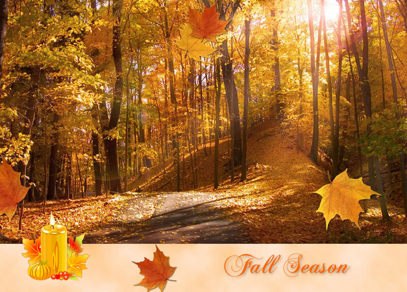 Autumn Forest Path — Yellow, Serene, Photograph, Maple Leaves
