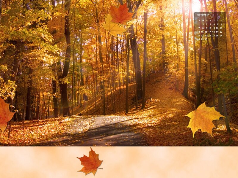 Autumn Forest Path — Yellow, Serene