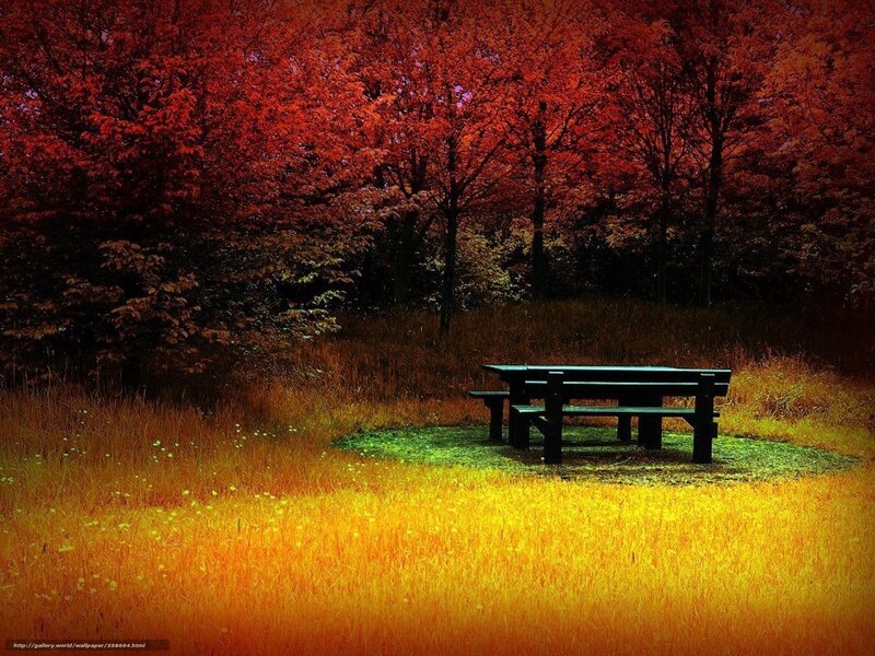 Autumn forest picnic table