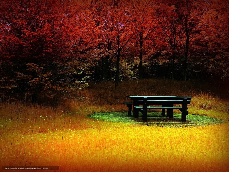 Autumn forest picnic table