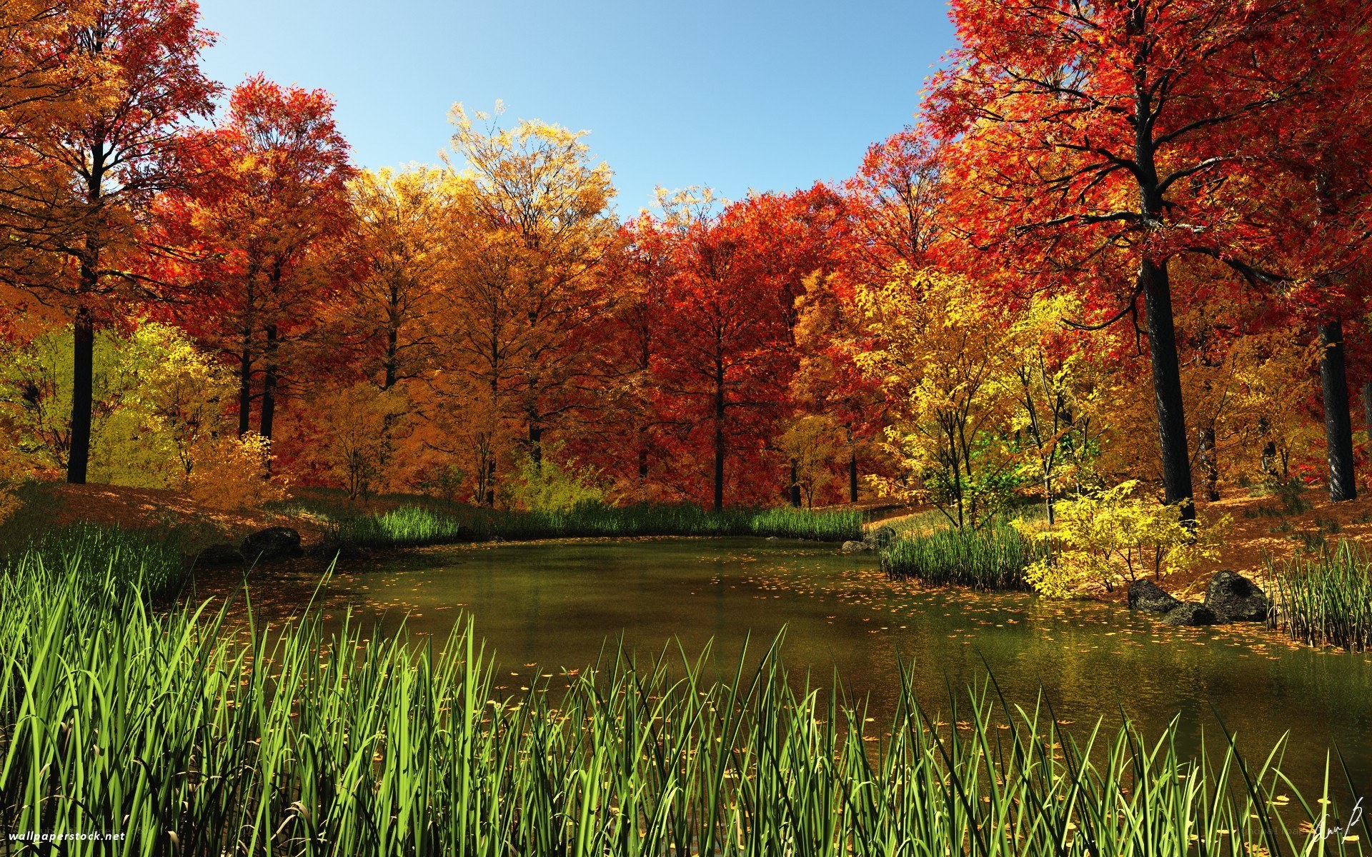 Autumn forest pond