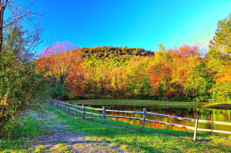 Autumn Forest Pond — Blue, Serene, Photograph, Fence