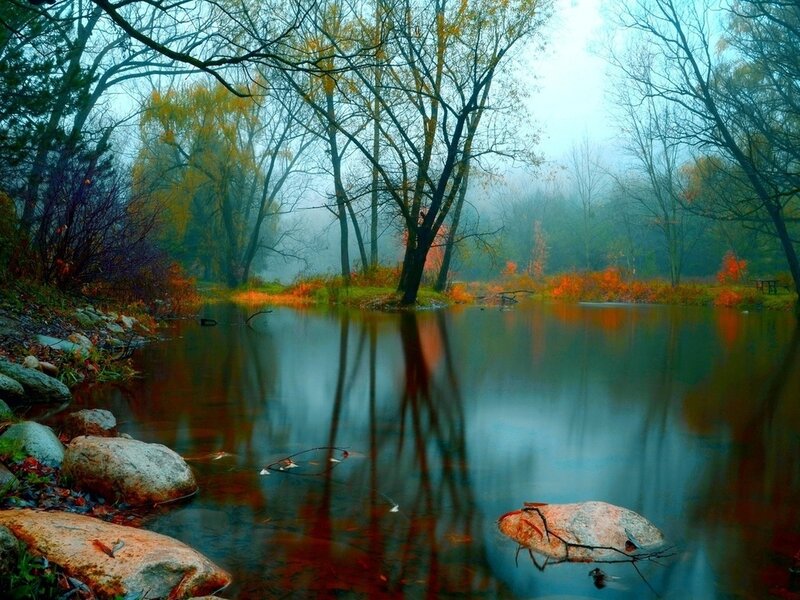 Autumn Forest Pond — Blue, Serene, Photograph, Trees, Rocks