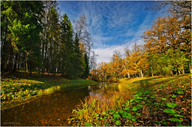 Autumn Forest Pond — Blue, Serene