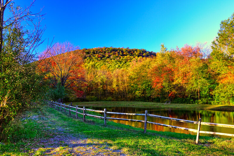 Autumn Forest Pond — Blue