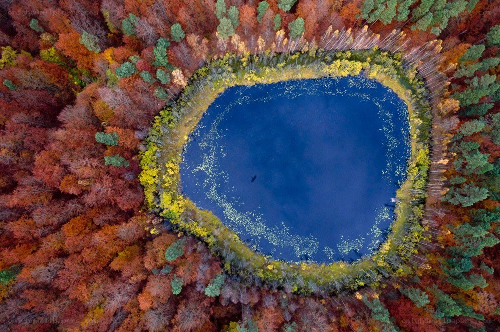 Autumn forest pond from above
