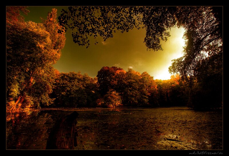 Autumn Forest Pond — Orange, Dramatic