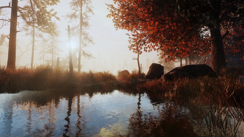 Autumn Forest Pond — Orange, Serene, 3d Render
