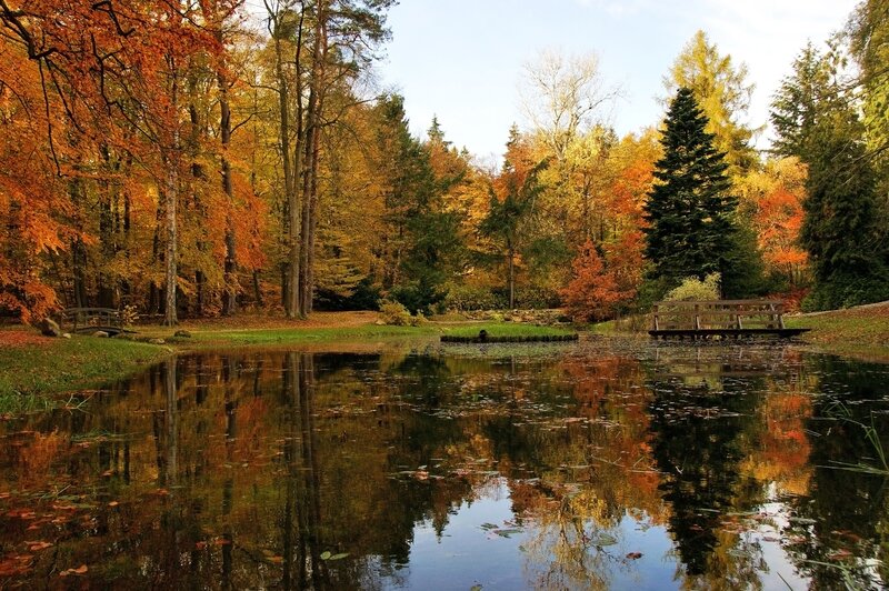 Autumn Forest Pond — Orange, Serene, Photograph, Trees, Bench, Reflection
