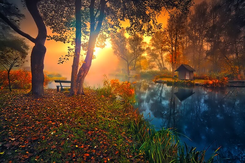 Autumn Forest Pond — Orange, Serene, Photograph, Trees, Bench