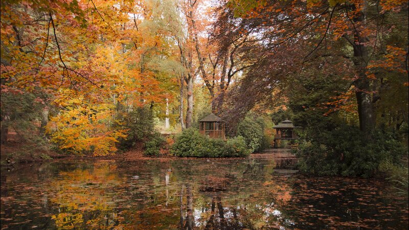 Autumn Forest Pond — Orange, Serene, Photograph, Trees, Pavilions