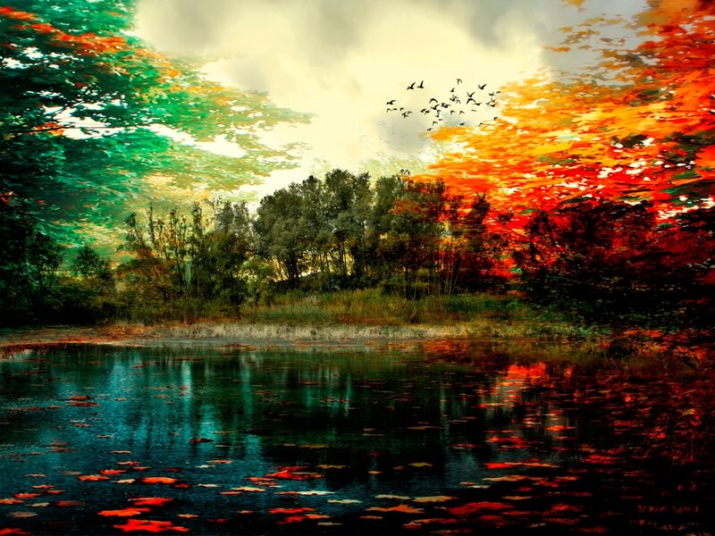 Autumn Forest Pond — Red, Dramatic