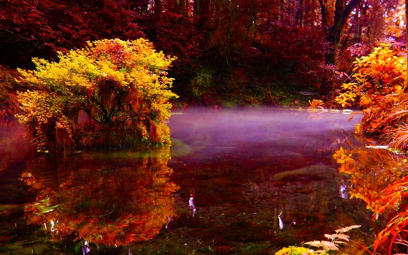 Autumn Forest Pond — Red, Serene, Photograph
