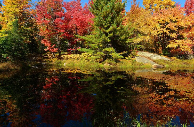 Autumn Forest Pond — Red, Serene, Photograph, Trees, Rocks