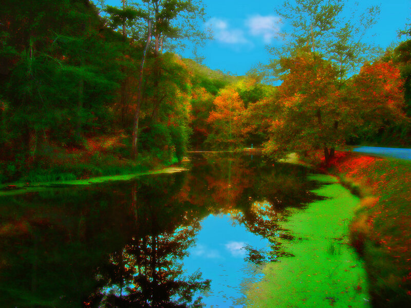 Autumn forest pond reflection