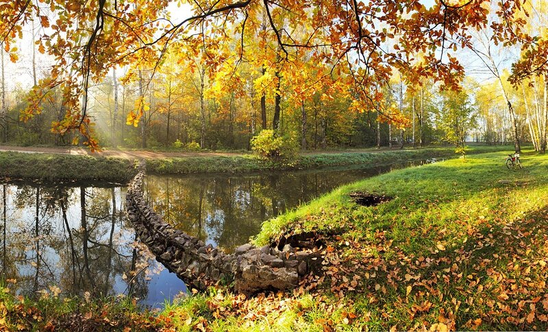 Autumn Forest Pond — Yellow