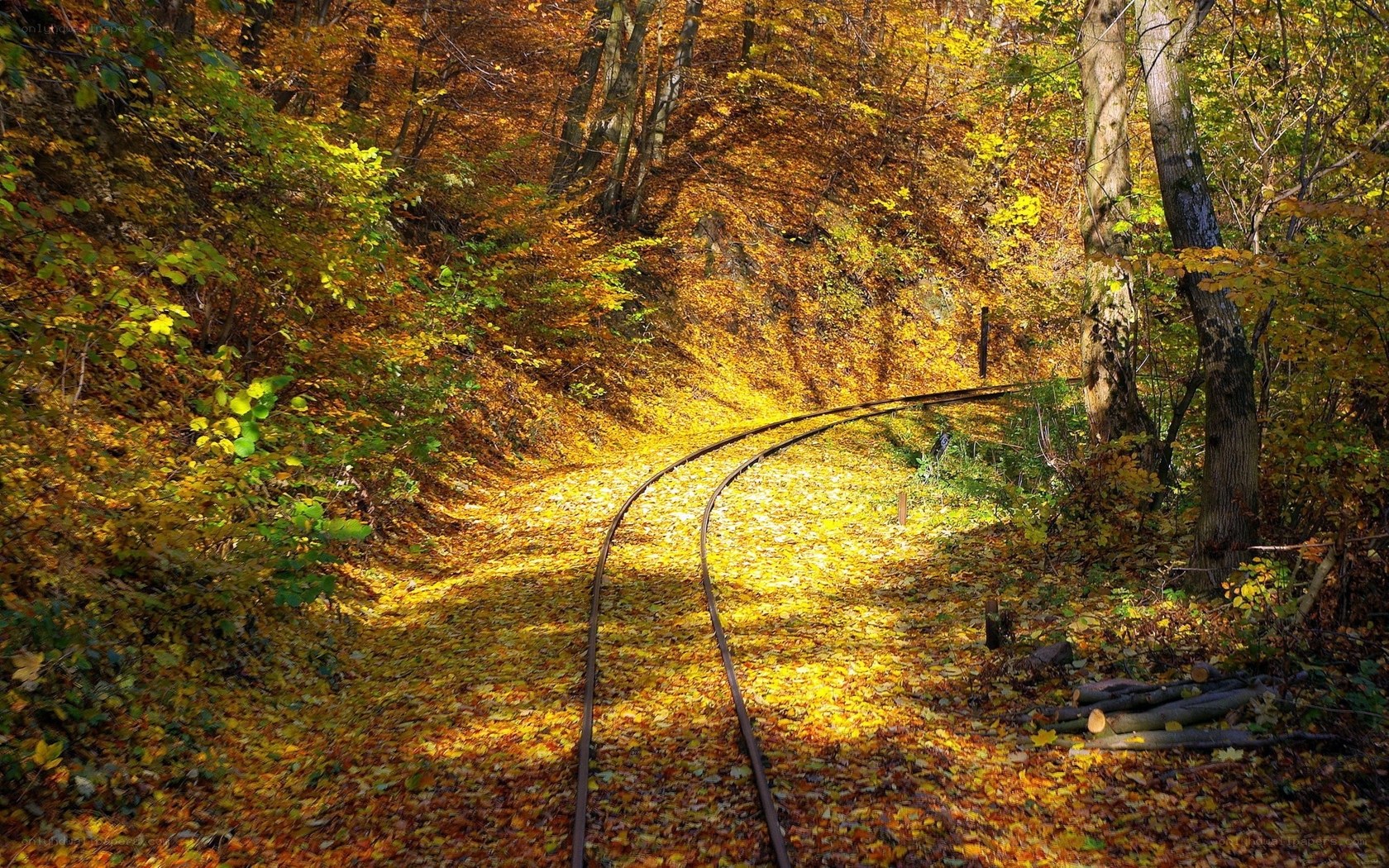 Autumn forest railway track
