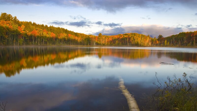 Autumn forest reflected in a calm lake