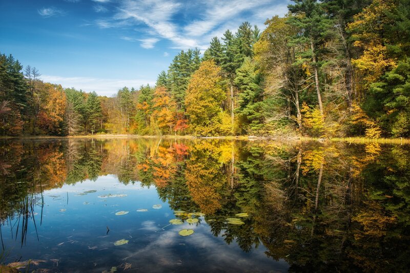 Autumn forest reflected in a calm pond