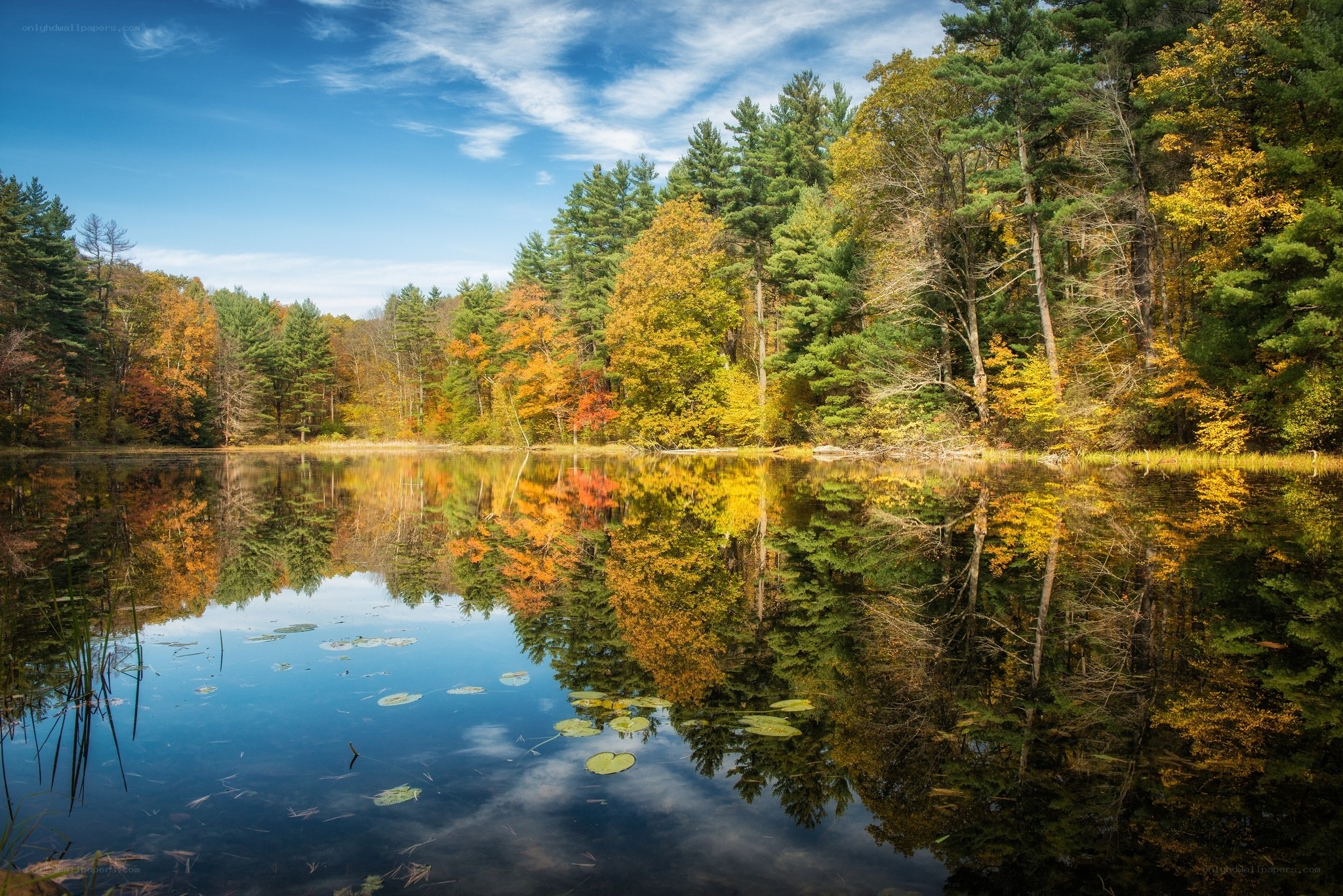 Autumn forest reflected in a calm pond