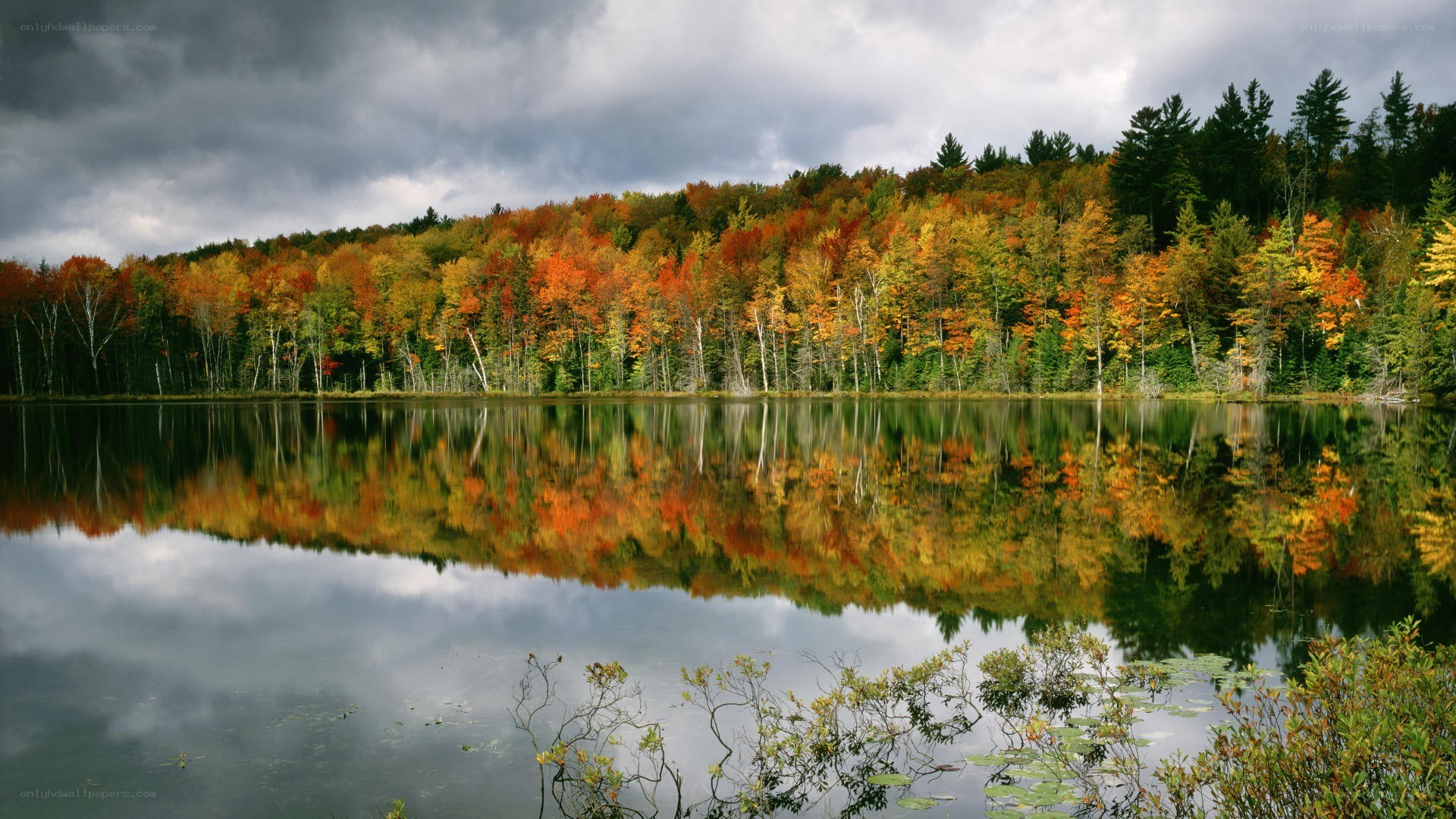 Autumn forest reflected in a lake