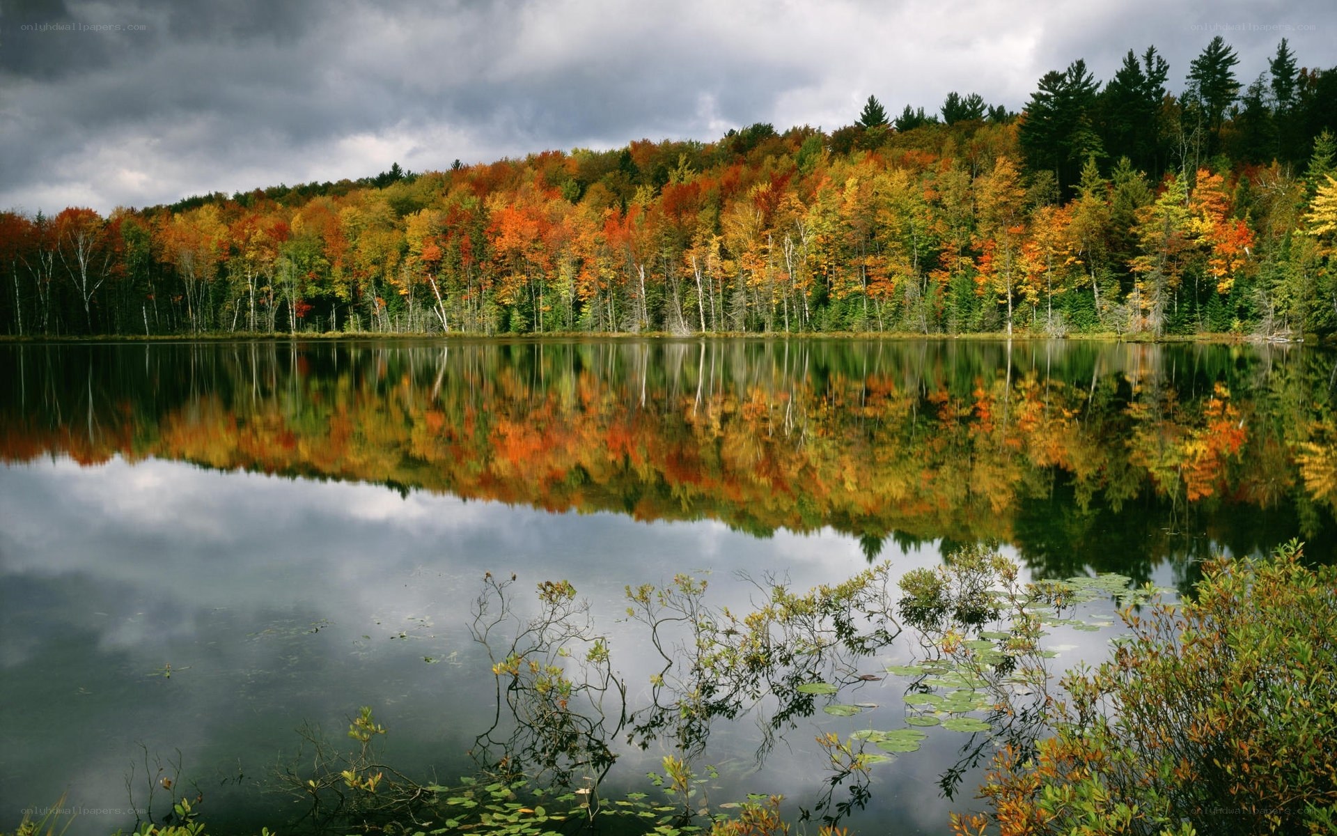 Autumn forest reflected in a lake
