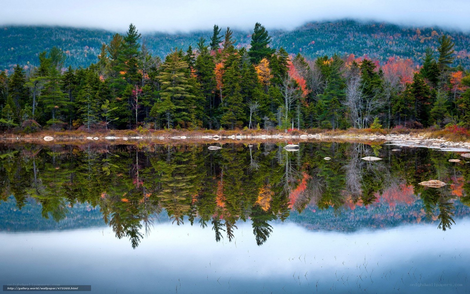 Autumn forest reflected in a lake