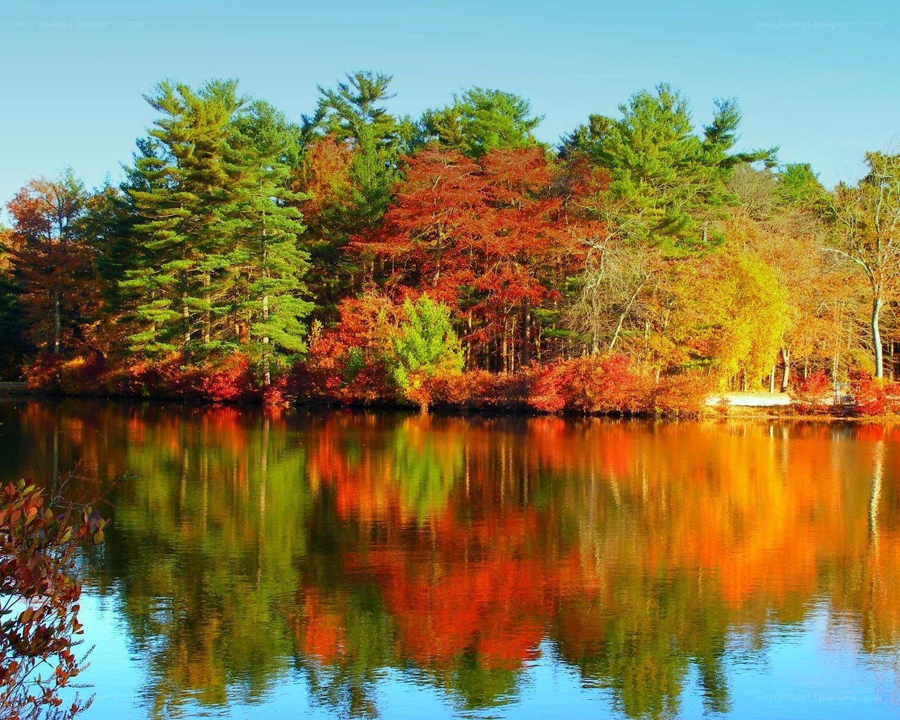 Autumn forest reflected in a lake