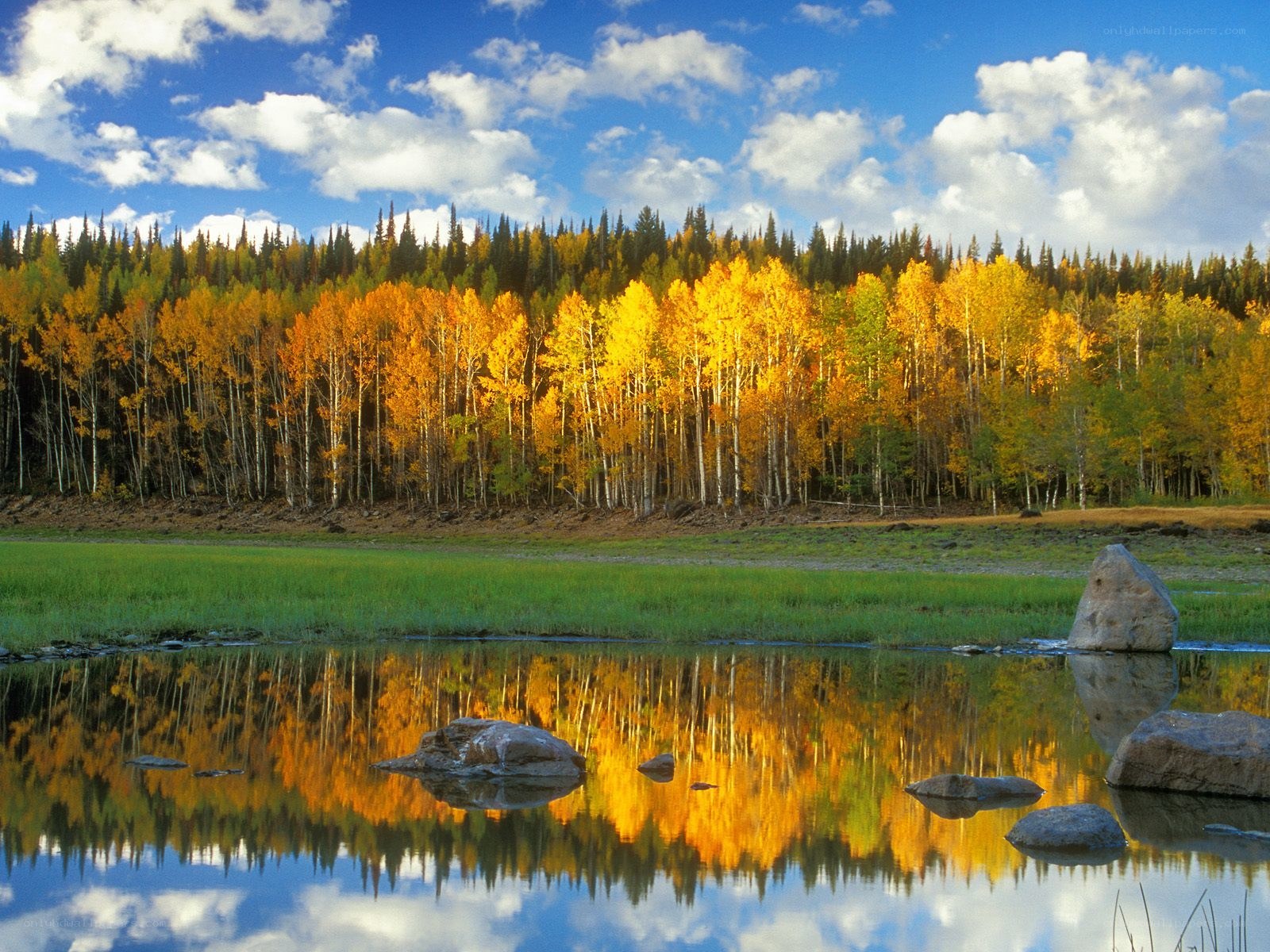 Autumn forest reflected in a lake