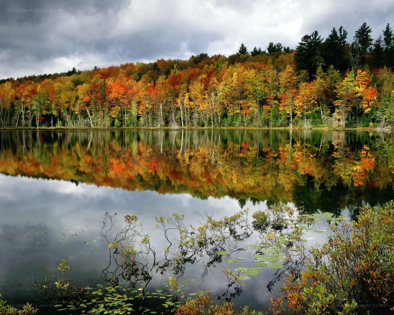 Autumn forest reflected in a lake
