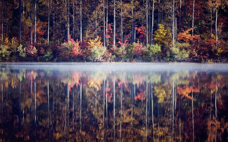 Autumn forest reflected in a misty lake