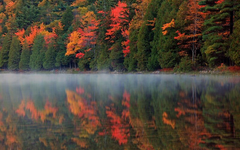 Autumn forest reflected in a misty lake