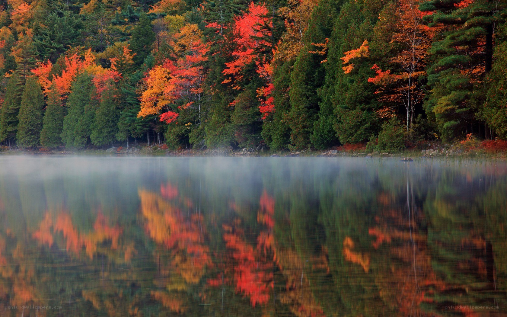 Autumn forest reflected in a misty lake