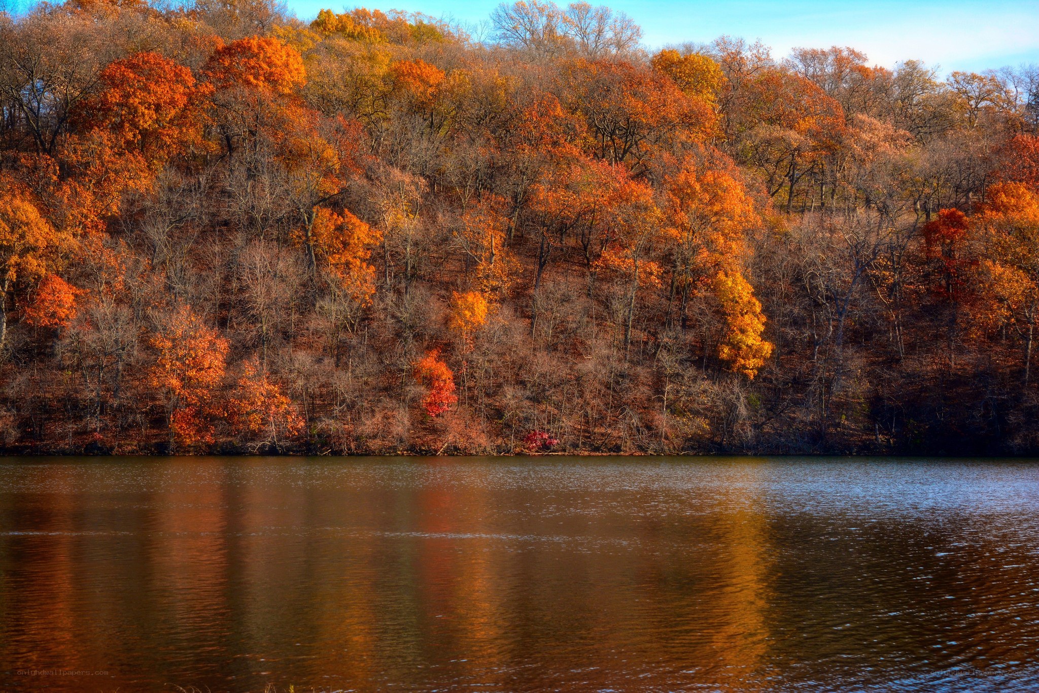 Autumn forest reflected in lake