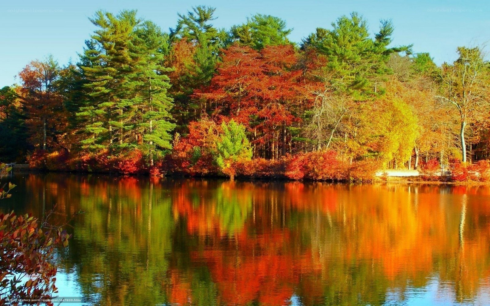 Autumn forest reflected in lake