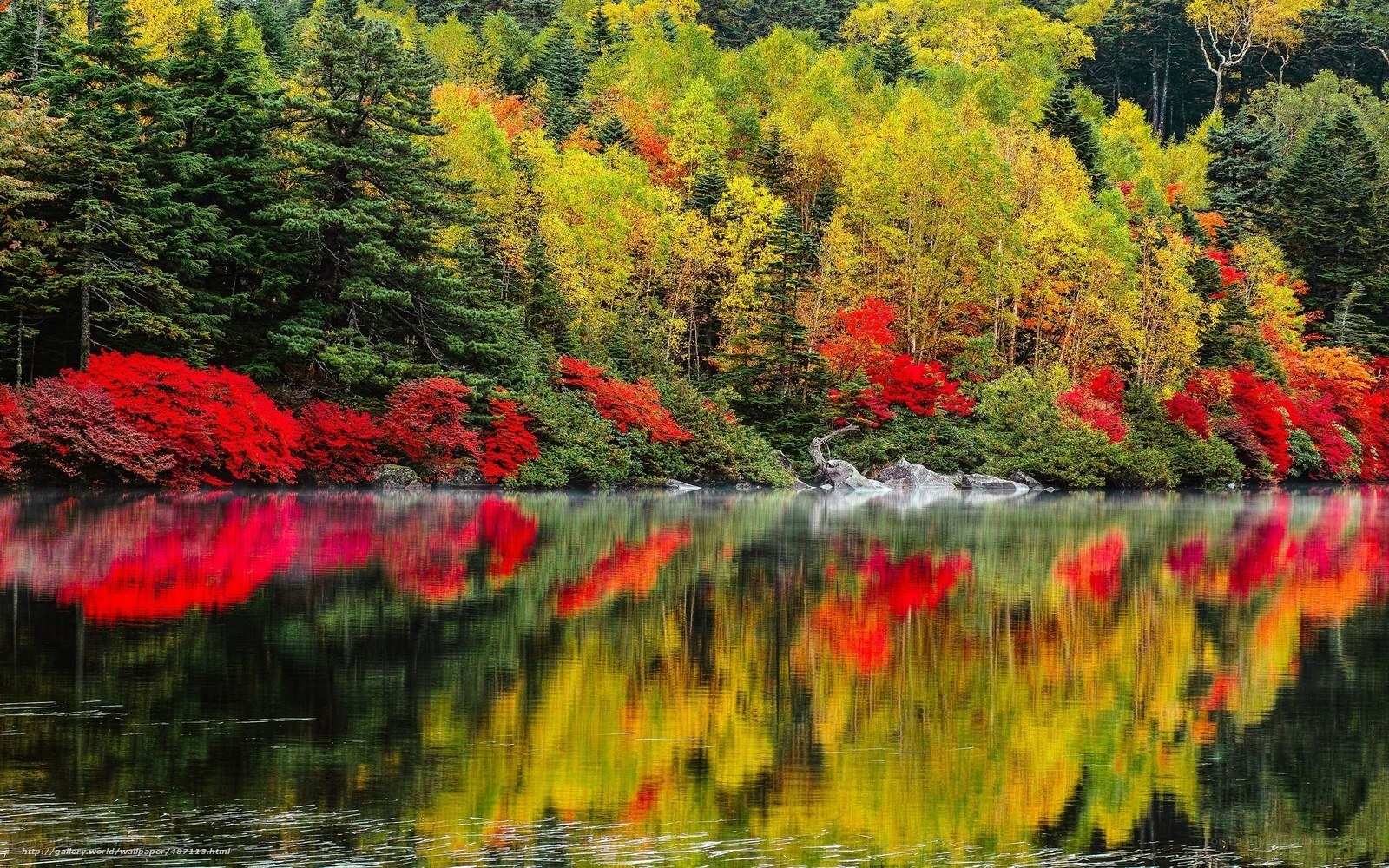 Autumn forest reflected in lake
