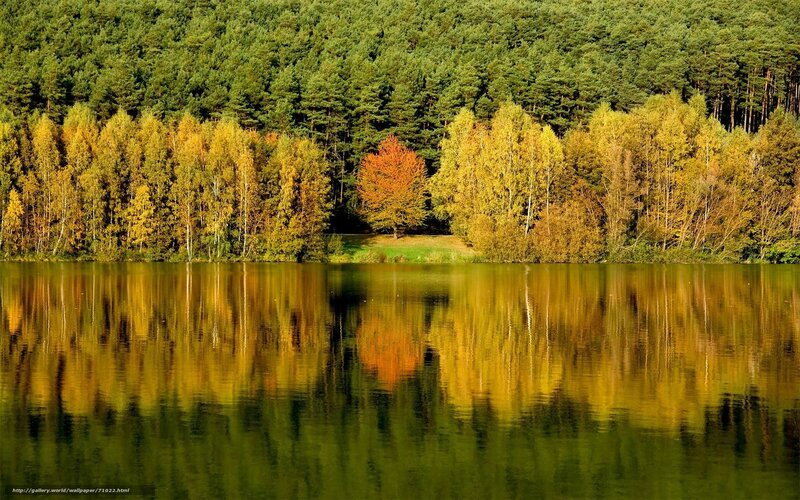 Autumn forest reflected in lake