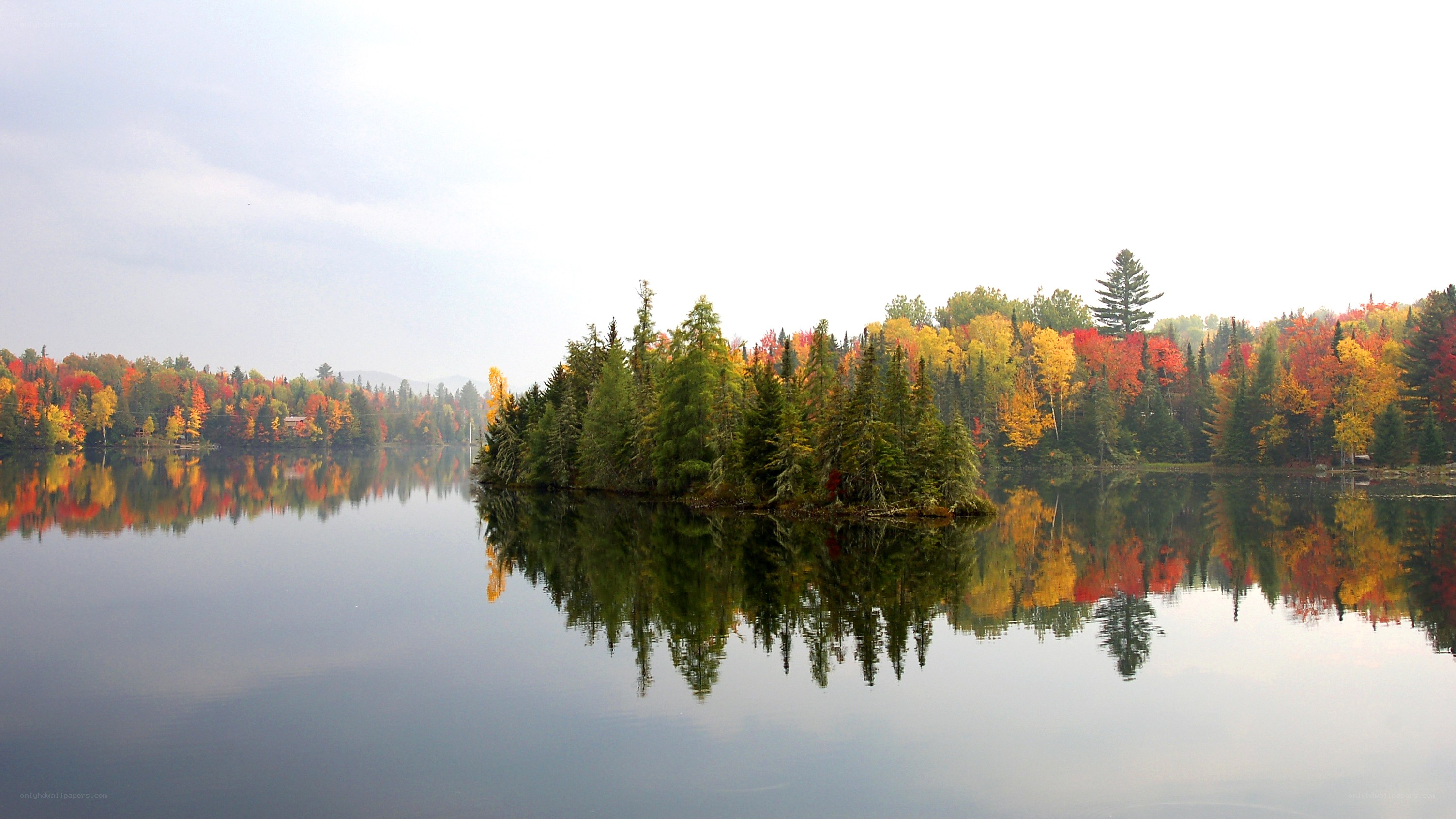 Autumn forest reflected in lake