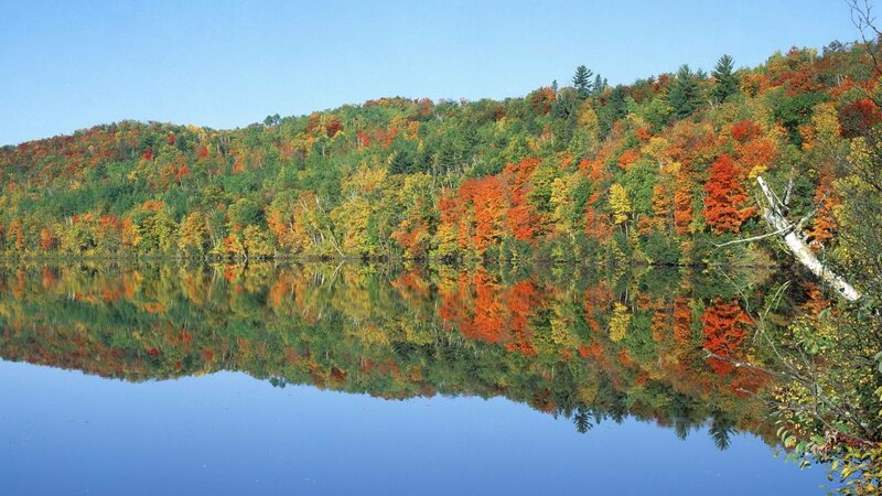Autumn forest reflected in lake