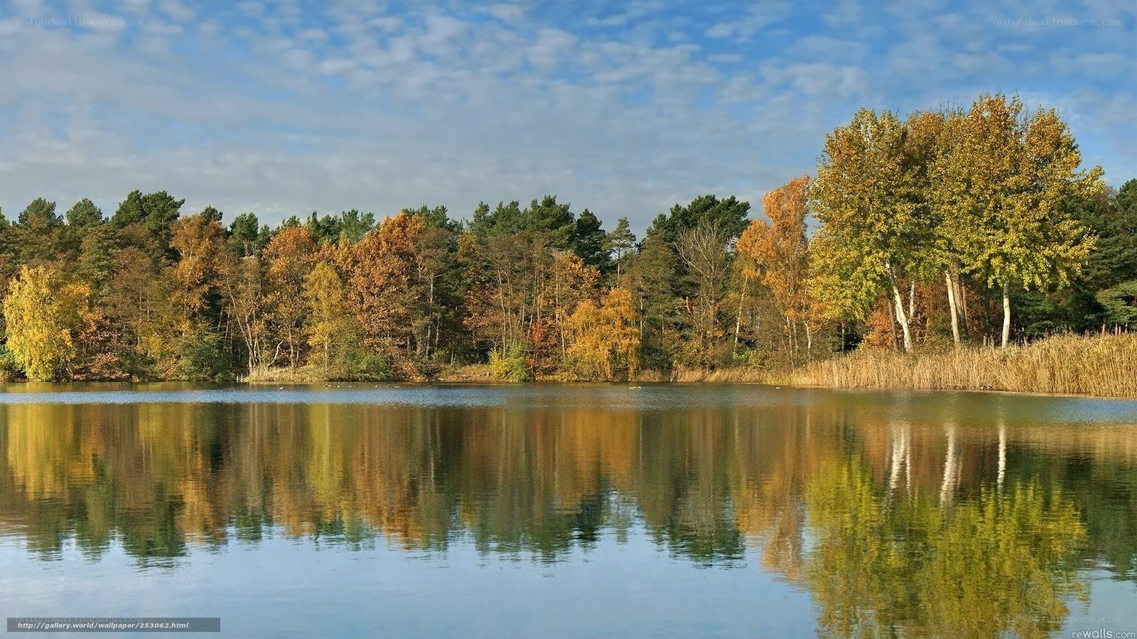 Autumn forest reflected in lake