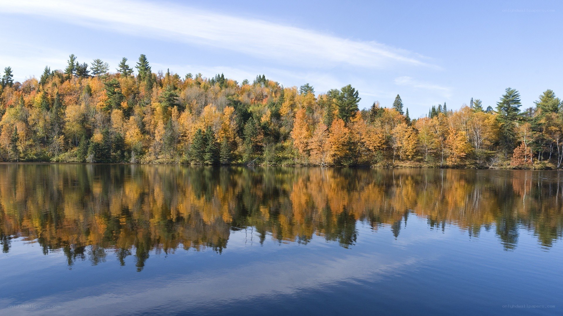 Autumn forest reflected in lake