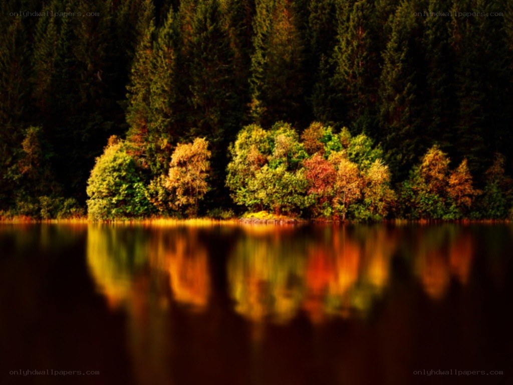Autumn forest reflected in lake
