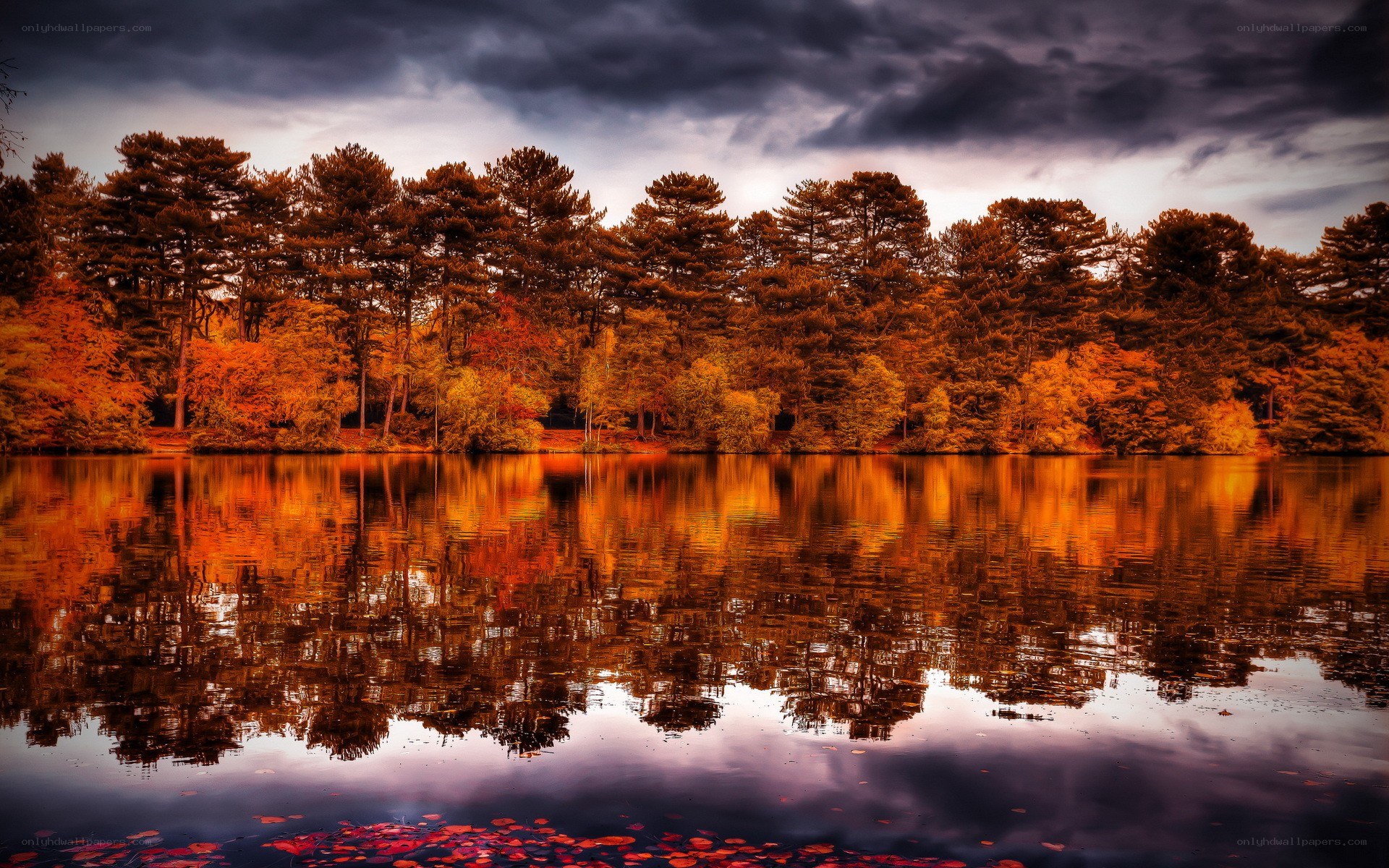 Autumn forest reflected in lake