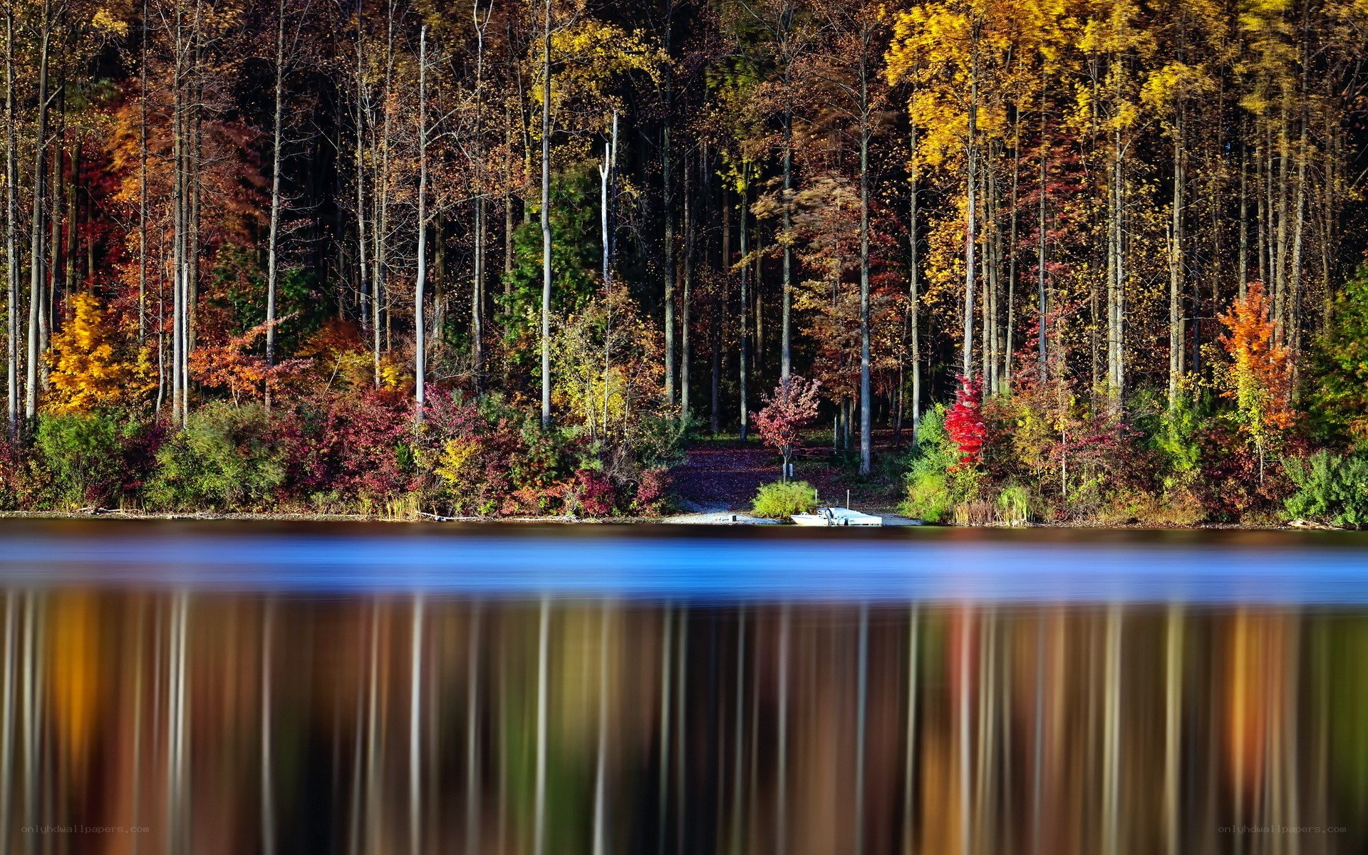 Autumn forest reflected in lake