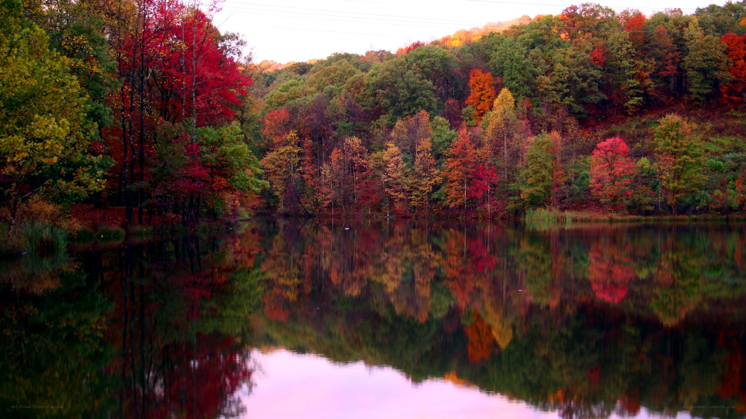 Autumn forest reflected in lake
