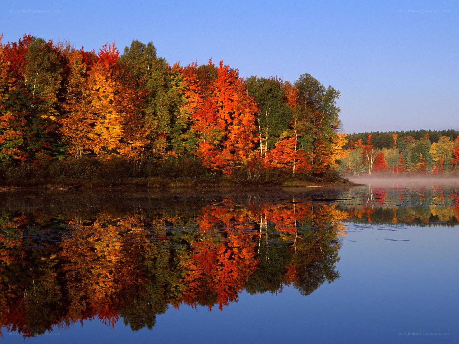 Autumn forest reflected in lake