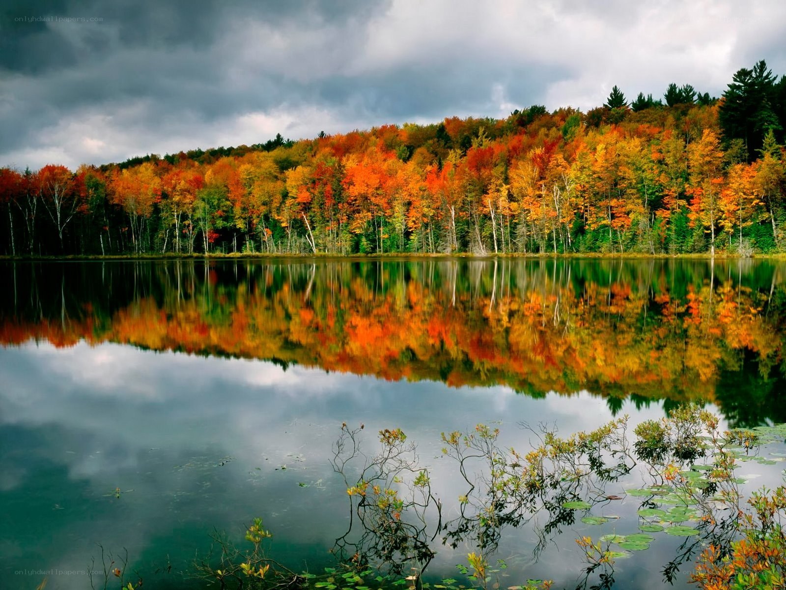 Autumn forest reflected in lake