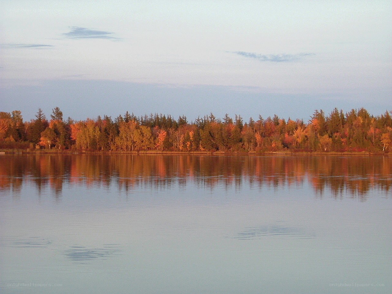 Autumn forest reflected in lake